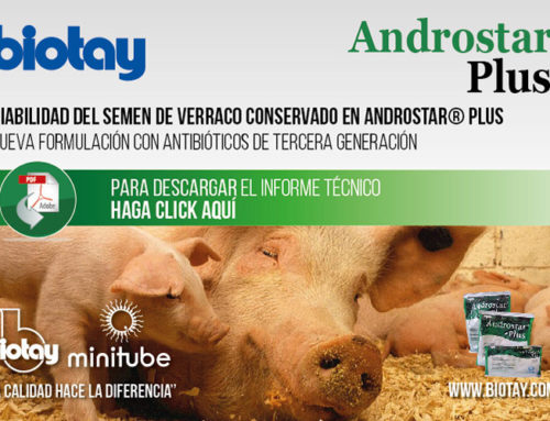 Androstar® Plus