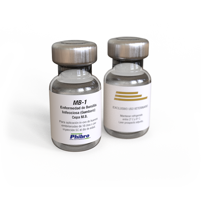 MB-1 Vacuna viva para el virus de Gumboro que se ajusta al nivel de anticuerpos maternales.