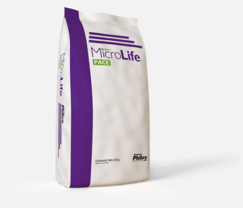 MicroLife-pace-bolsa-500×428