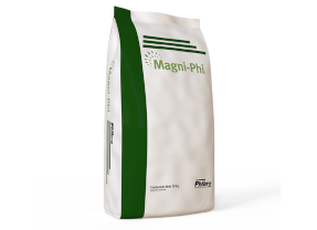 Magni Phi