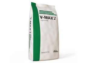 V-MAX 2