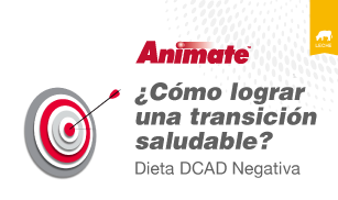 Animate dieta DCAD Negativa