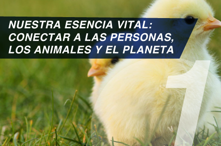 ESG-IMG-Caratula-1