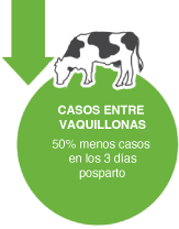 Casos entre vaquillonas
