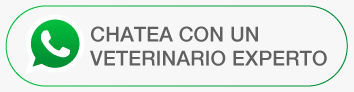 Consultar veterinario experto