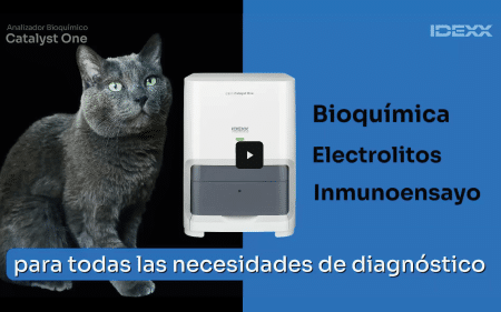 Ver video de Catalyst One