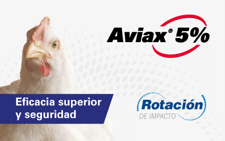 DESCARGAR