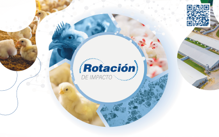 DESCARGAR