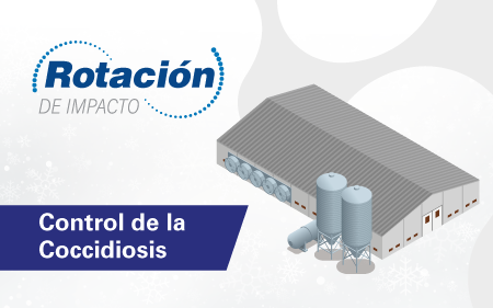 DESCARGAR