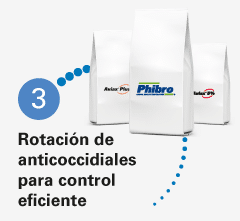 1750334990736-paso3 (1)