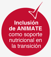 inclusion