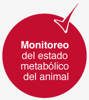 monitoreo