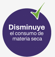 1782249202538-logo1