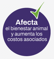 1782249399340-logo5